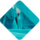 Doctors and nurses operating on a patient